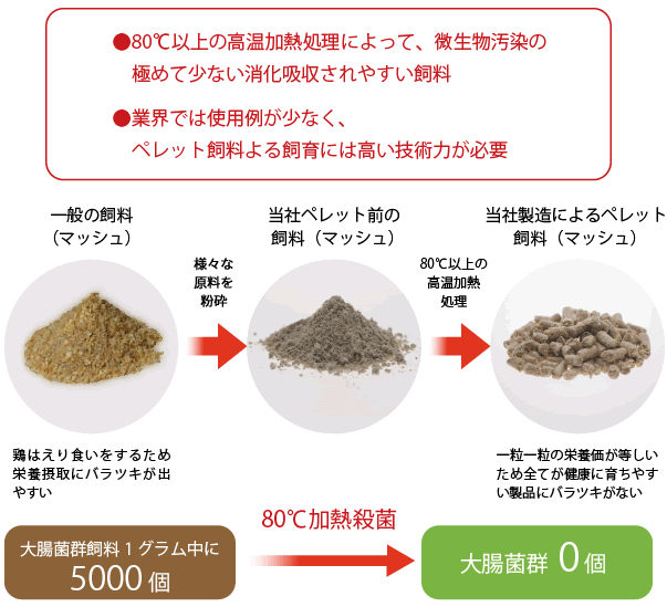 飼料